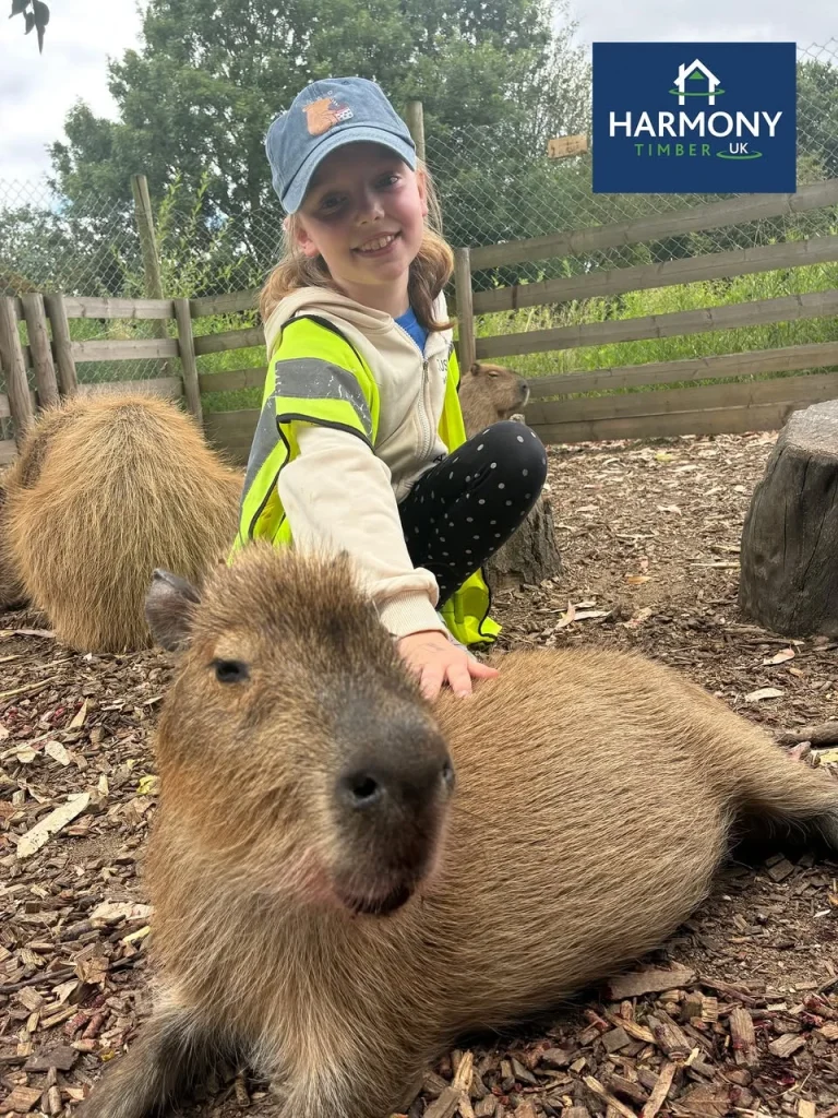 Young girl stroking a capybara